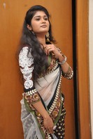 Sunitha Marasiar Gallery